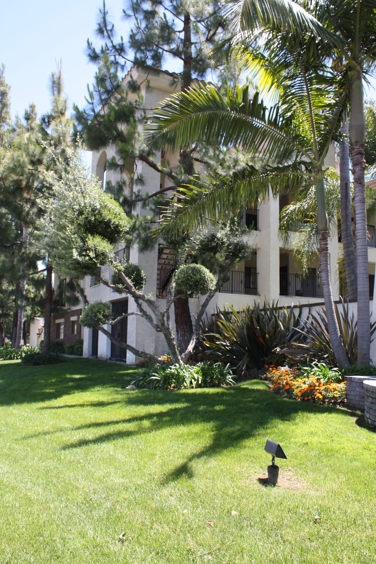 Mature palms and manicured lawns