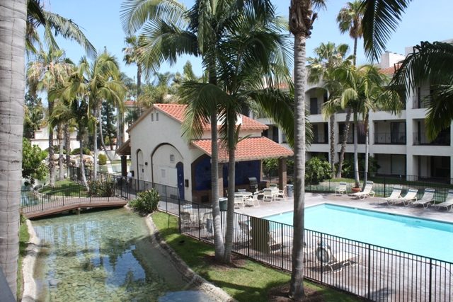 Courtyard pool and koi pond