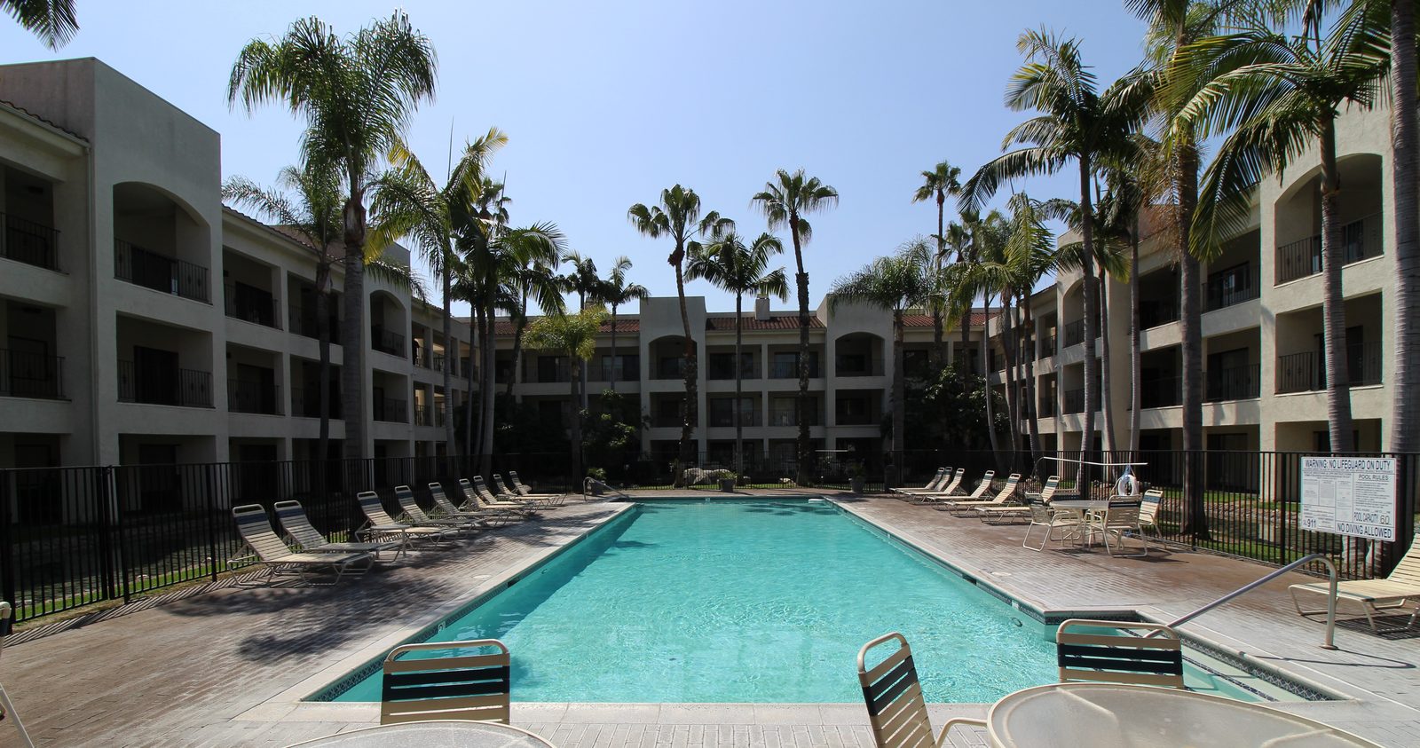 The Warner pool, framed by palms