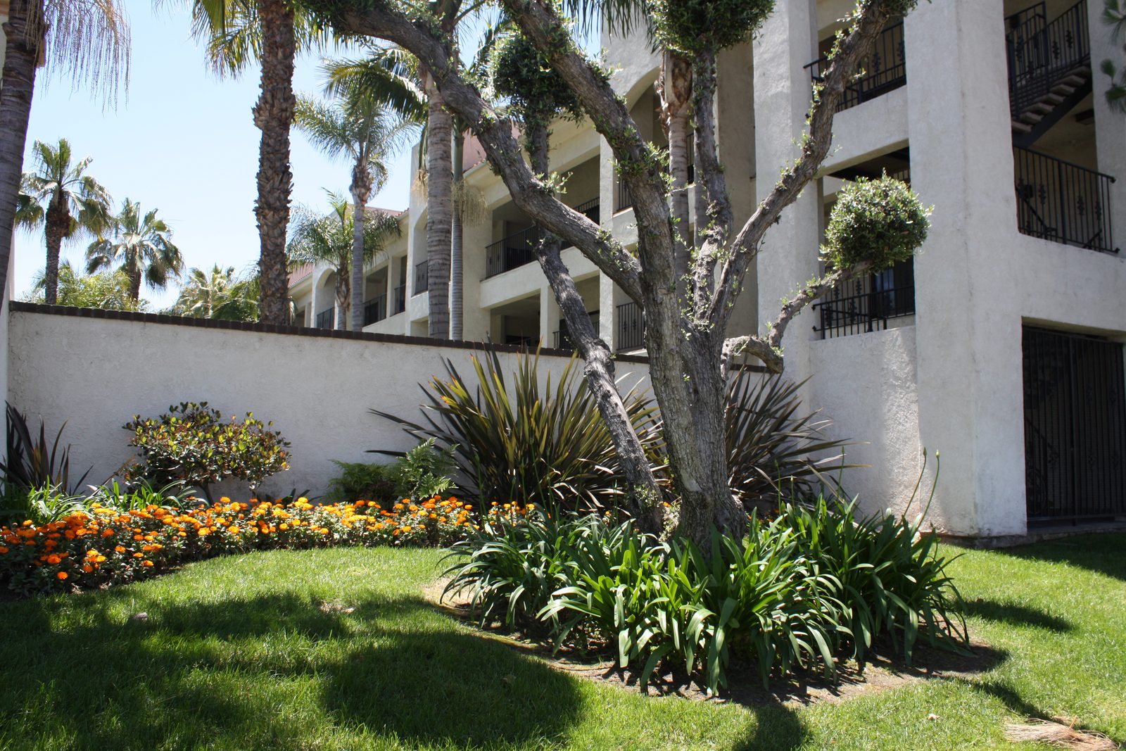 Flowering garden walkways